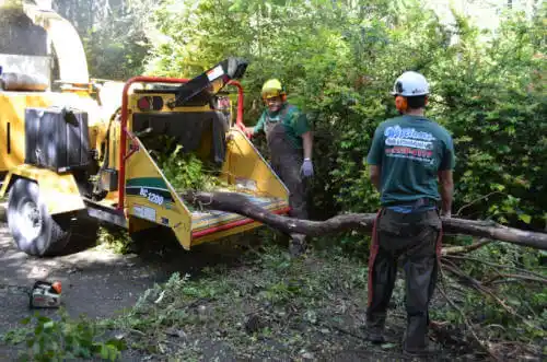 tree services Wallingford Center